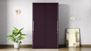 Slide N Store Pro Plus 2-Door Steel Wardrobe (Textured ShellWine Red)